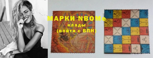 крисы Абаза