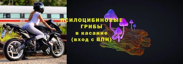 крисы Абаза