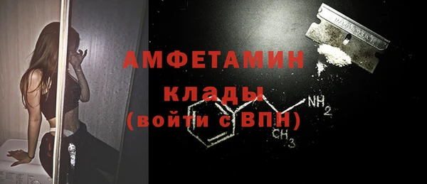 крисы Абаза