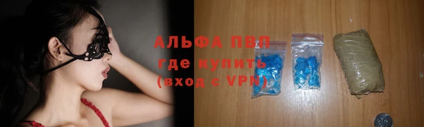 крисы Абаза