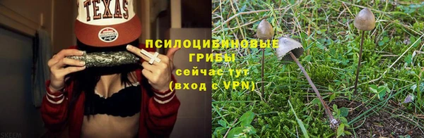 крисы Абаза