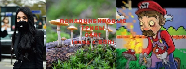 крисы Абаза
