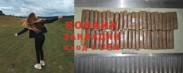 крисы Абаза
