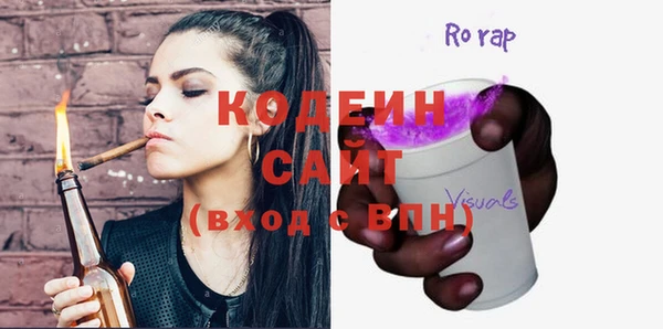 крисы Абаза