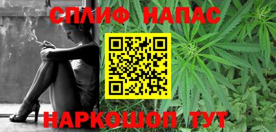 шишки Кандалакша