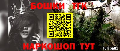 шишки Кандалакша