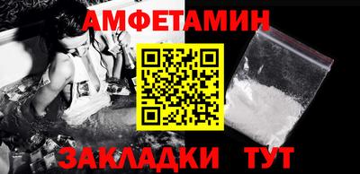 шишки Кандалакша