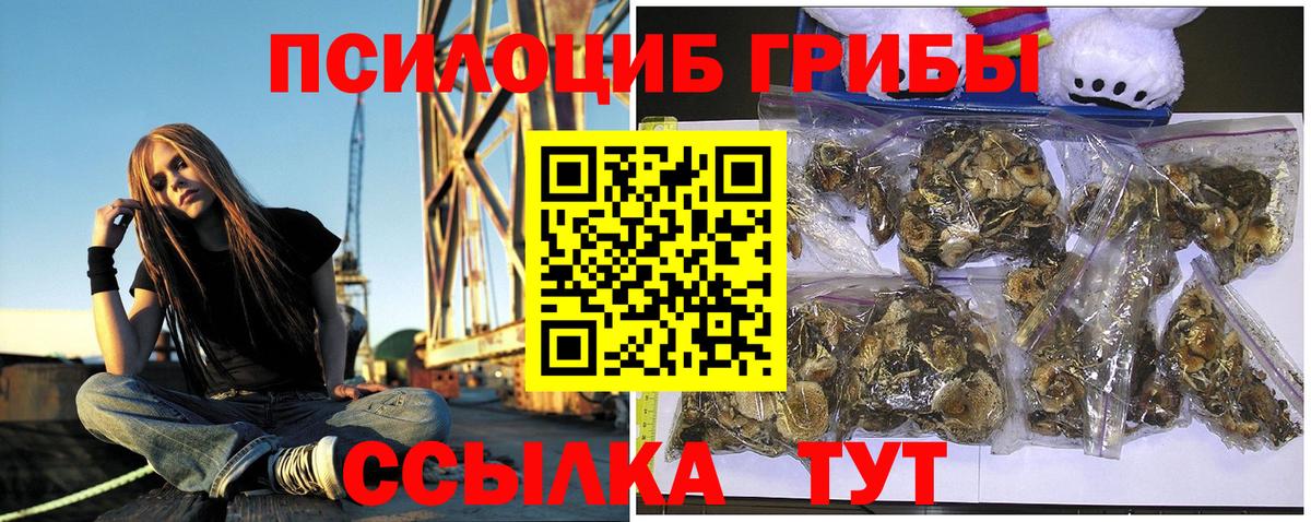 Галлюциногенные грибы MAGIC MUSHROOMS  Вход с VPN  Шумерля  Галлюциногенные грибы прущие грибы 