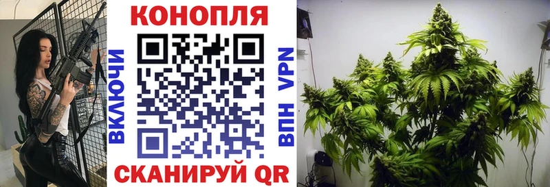 Канабис семена Шумерля